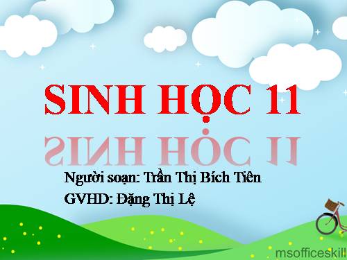 Bài 42. Sinh sản hữu tính ở thực vật