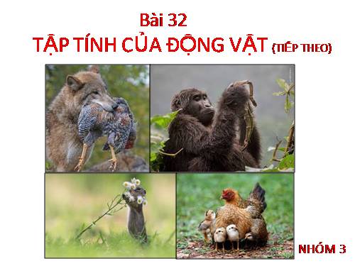 Bài 32. Tập tính của động vật (tiếp theo)