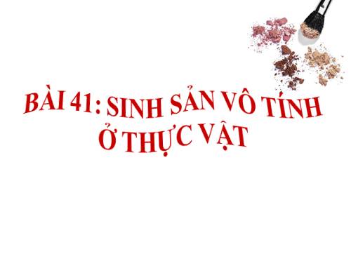 Bài 41. Sinh sản vô tính ở thực vật