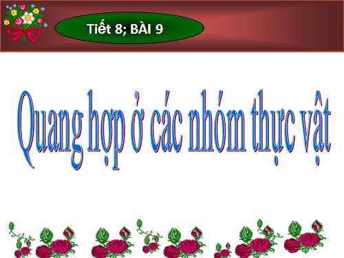 Bài 3. Thoát hơi nước