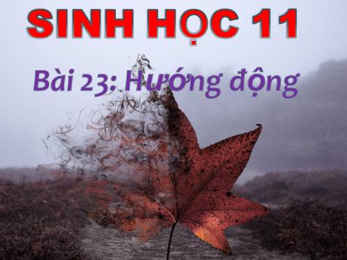 Bài 23. Hướng động