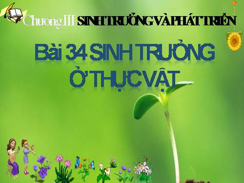 Bài 34. Sinh trưởng ở thực vật