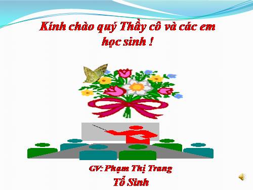 Bài 16. Tiêu hoá ở động vật (tiếp theo)