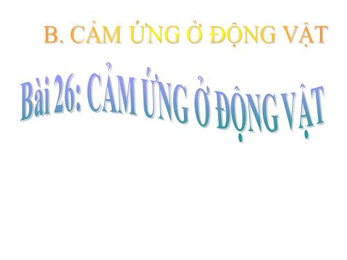 Bài 26. Cảm ứng ở động vật