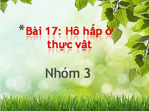 Bài 16. Tiêu hoá ở động vật (tiếp theo)