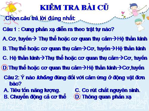 Bài 27. Cảm ứng ở động vật (tiếp theo)