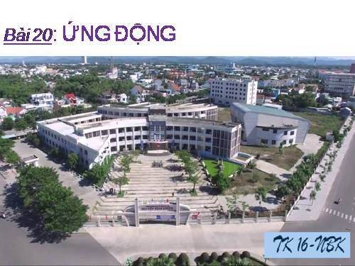 Bài 24. Ứng động