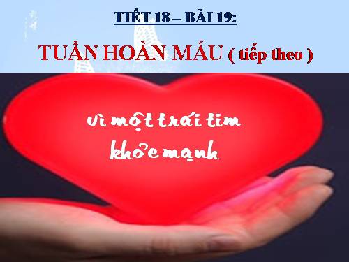 Bài 19. Tuần hoàn máu (tiếp theo)