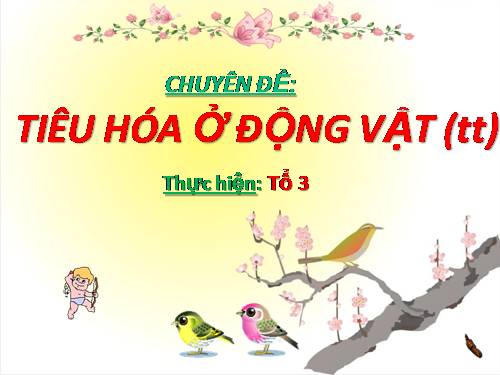 Bài 16. Tiêu hoá ở động vật (tiếp theo)