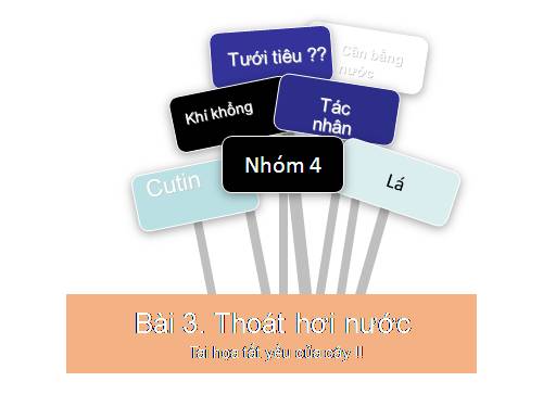 Bài 3. Thoát hơi nước