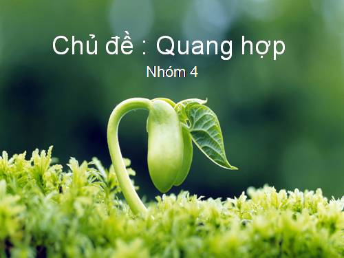 Bài 10. Ảnh hưởng của các nhân tố ngoại cảnh đến quang hợp