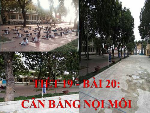 Bài 20. Cân bằng nội môi