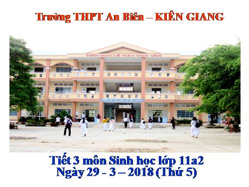 Bài 38. Các nhân tố ảnh hưởng đến sinh trưởng và phát triển ở động vật