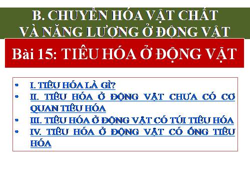 Bài 15. Tiêu hoá ở động vật