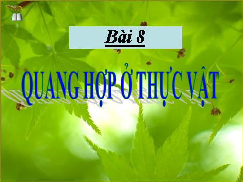 Bài 8. Quang hợp ở thực vật