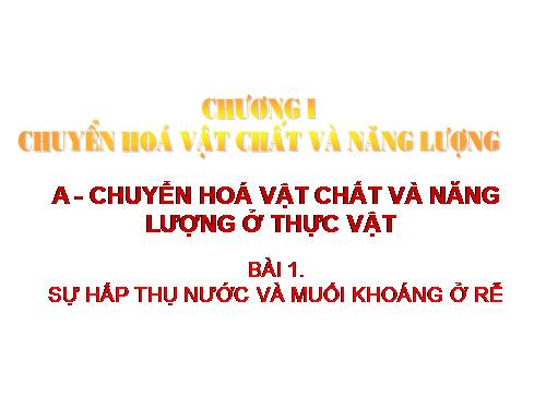 Bài 1. Sự hấp thụ nước và muối khoáng ở rễ