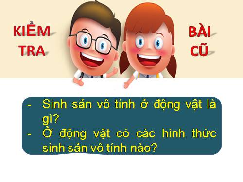 Bài 45. Sinh sản hữu tính ở động vật