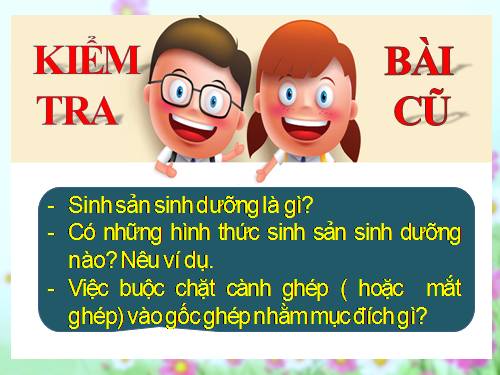 Bài 42. Sinh sản hữu tính ở thực vật