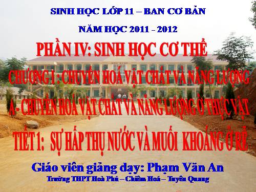 Bài 1. Sự hấp thụ nước và muối khoáng ở rễ