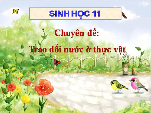 Chuyên đề trao đổi nước ở thực vật