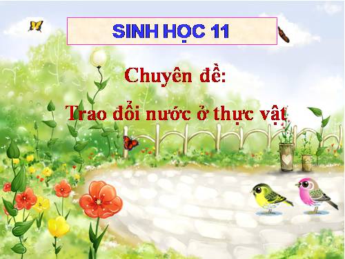 CHUYÊN ĐỀ TRAO ĐỔI NƯỚC Ở THỰC VẬT