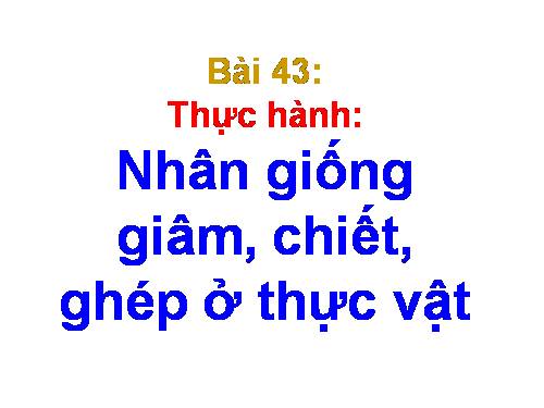 Bài 43. Thực hành: Nhân giống vô tính ở thực vật bằng giấm, chiết, ghép