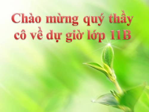 hoocmon thực vật Sinh học 11.