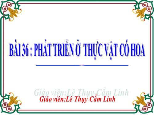 Bài 36. Phát triển ở thực vật có hoa