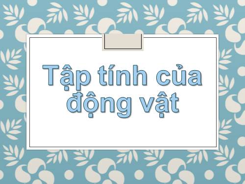 Bài 32. Tập tính của động vật (tiếp theo)