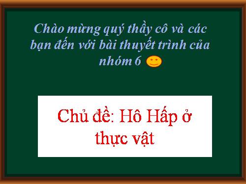 Bài 12. Hô hấp ở thực vật