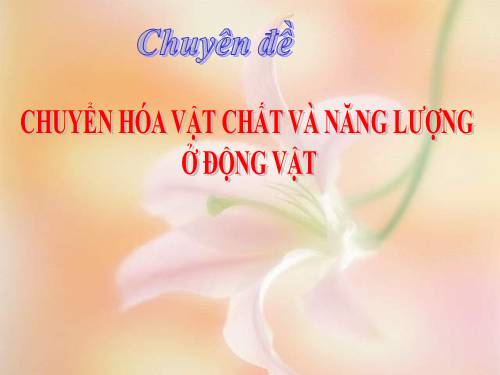 Bài 17. Hô hấp ở động vật