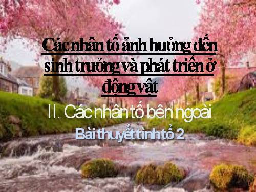 Bài 39. Các nhân tố ảnh hưởng đến sinh trưởng và phát triển ở động vật (tiếp theo)