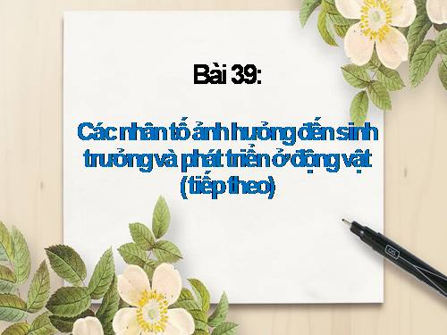 Bài 39. Các nhân tố ảnh hưởng đến sinh trưởng và phát triển ở động vật (tiếp theo)