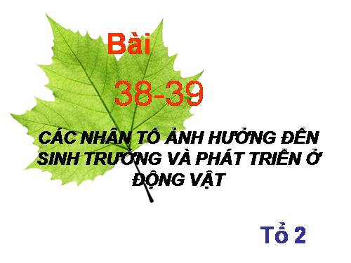 Bài 38. Các nhân tố ảnh hưởng đến sinh trưởng và phát triển ở động vật