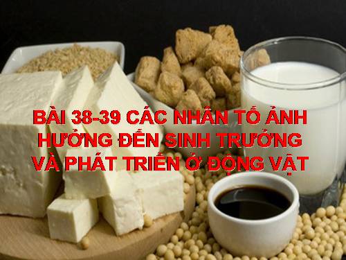 Bài 39. Các nhân tố ảnh hưởng đến sinh trưởng và phát triển ở động vật (tiếp theo)