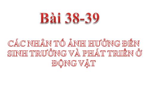 Bài 38. Các nhân tố ảnh hưởng đến sinh trưởng và phát triển ở động vật