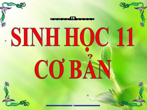 Bài 45. Sinh sản hữu tính ở động vật