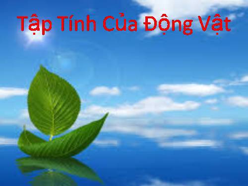 Bài 31. Tập tính của động vật