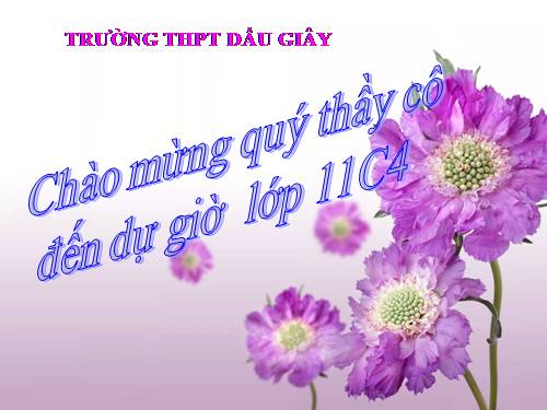 Bài 15. Tiêu hoá ở động vật