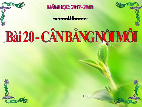 Bài 20. Cân bằng nội môi