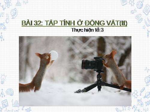 Bài 32. Tập tính của động vật (tiếp theo)