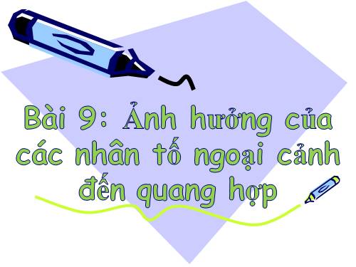 Bài 10. Ảnh hưởng của các nhân tố ngoại cảnh đến quang hợp