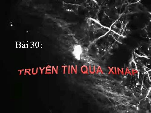 Bài 30. Truyền tin qua xináp