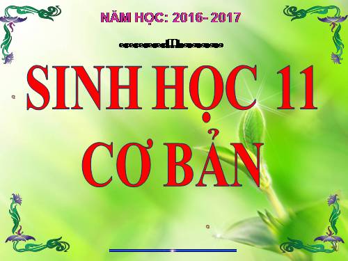 Bài 35. Hoocmôn thực vật