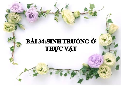 Bài 34. Sinh trưởng ở thực vật