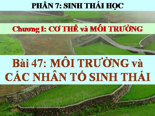 Bài 15. Tiêu hoá ở động vật