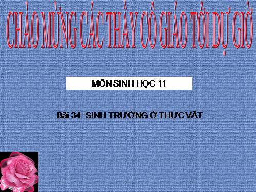 Bài 34. Sinh trưởng ở thực vật