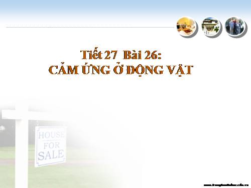 Bài 26. Cảm ứng ở động vật