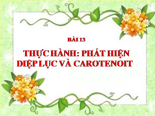 Bài 13. Thực hành: Phát hiện diệp lục và carôtenôit