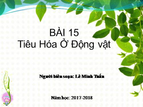 Bài 15. Tiêu hoá ở động vật